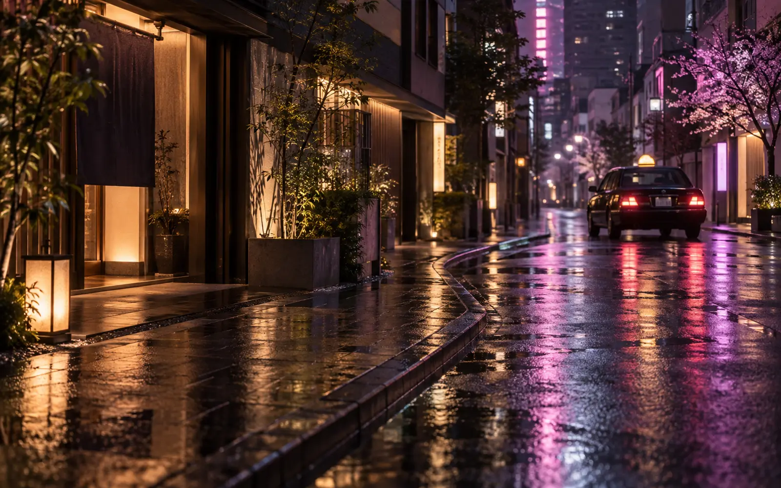A side street of small hotels at night